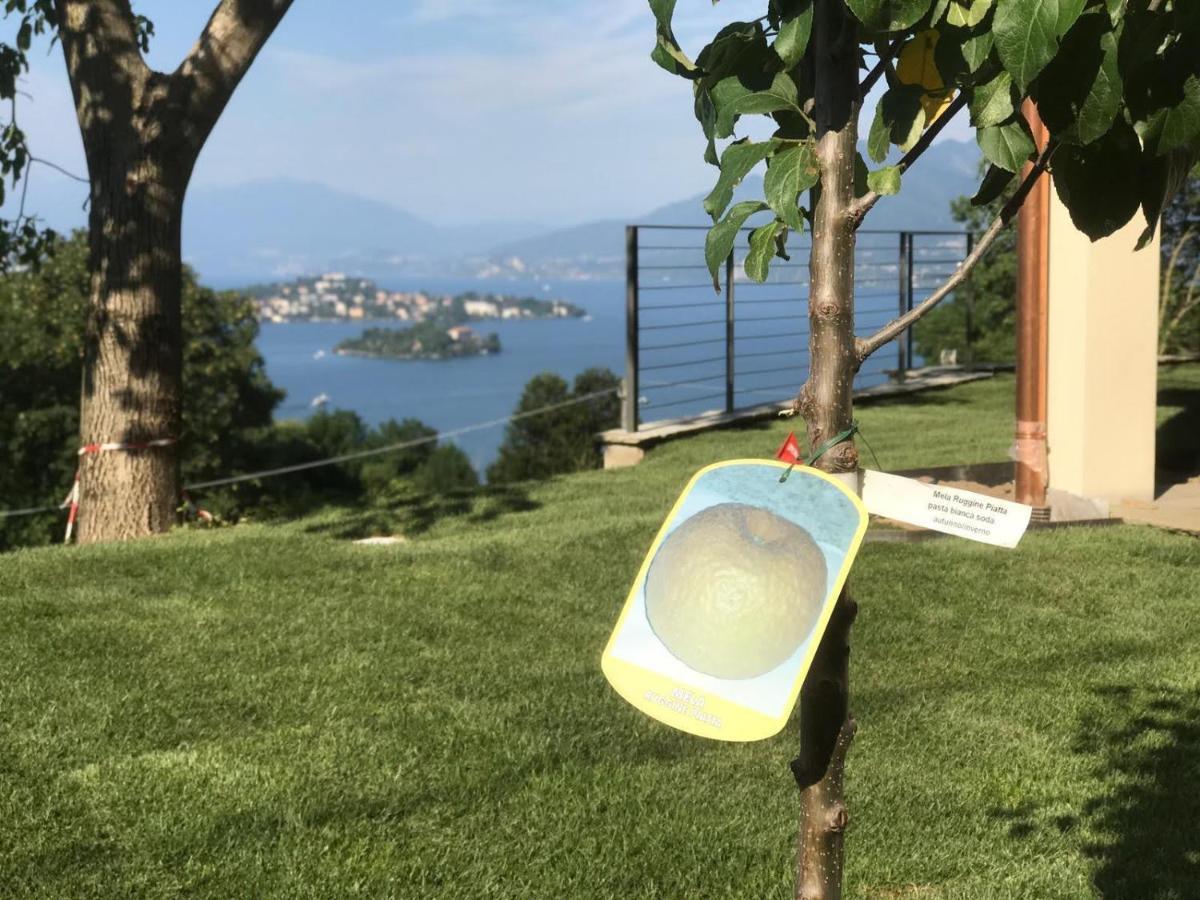 Casa Rampolina Hotell Stresa Exteriör bild